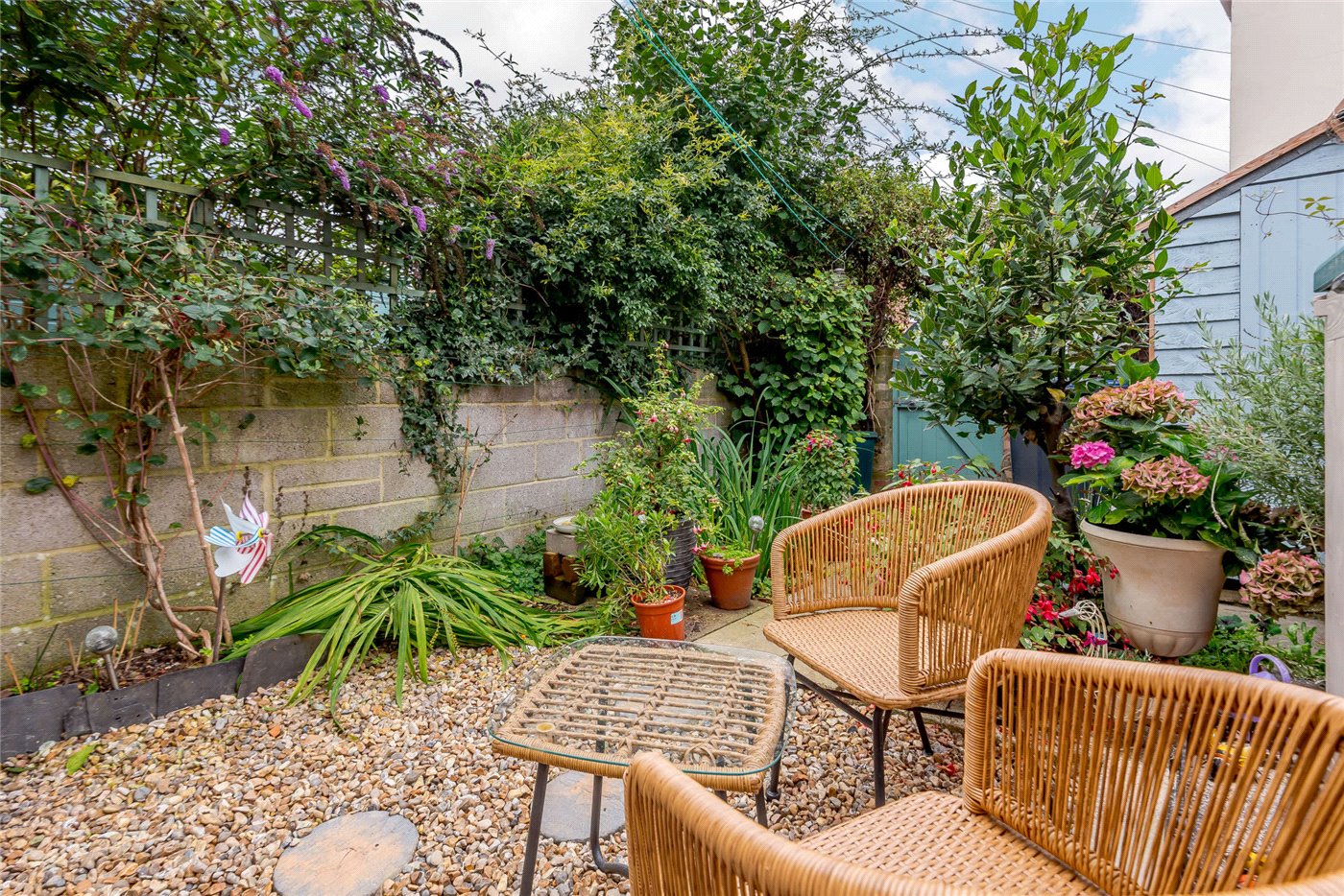 Garden